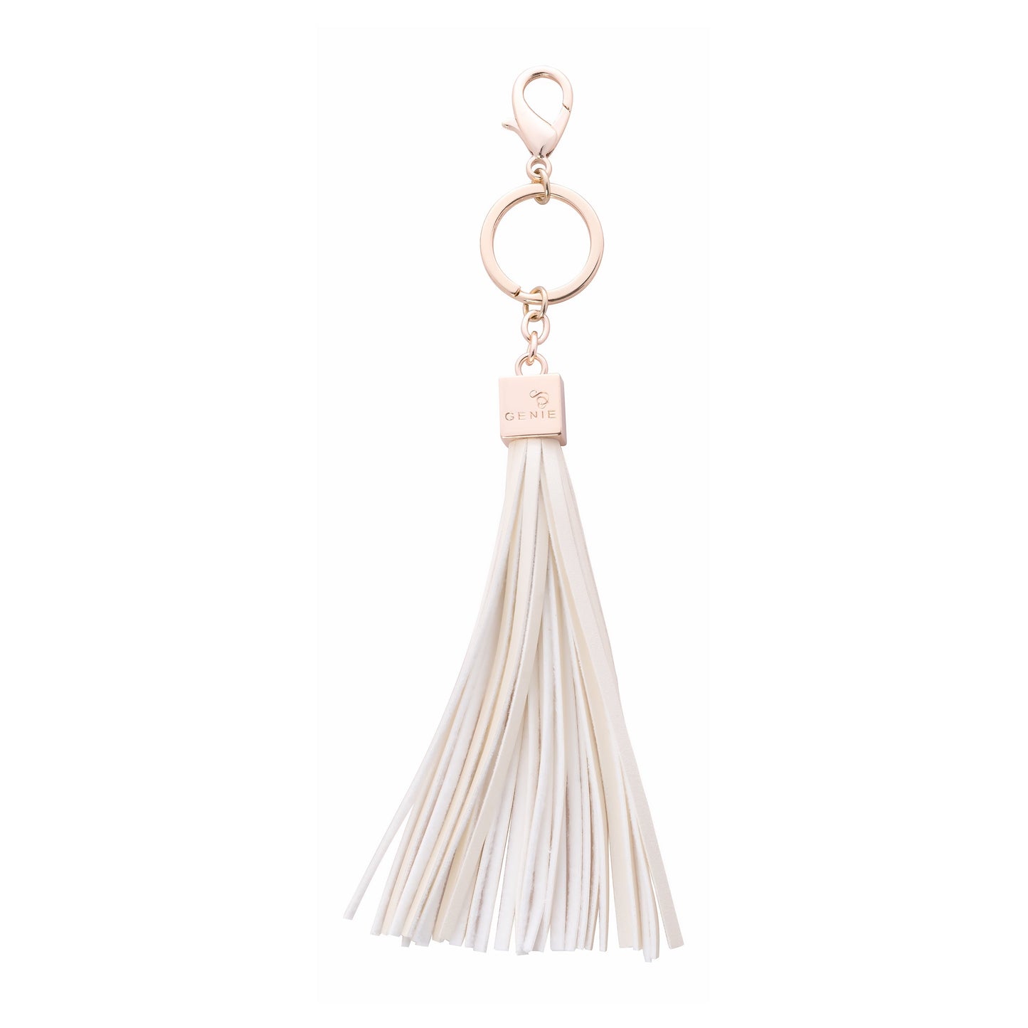 GENIE Key Chain